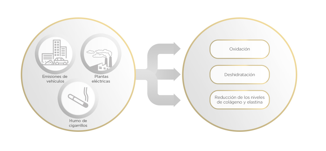 Age Repair Isdinceutic gráfico causas