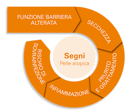 Signos de la piel atópica