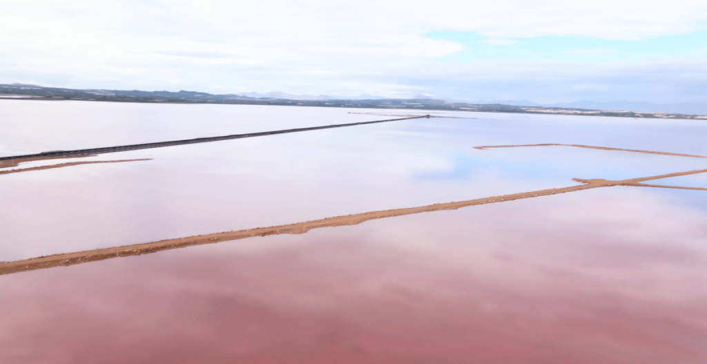 Salinas de Santa Pola