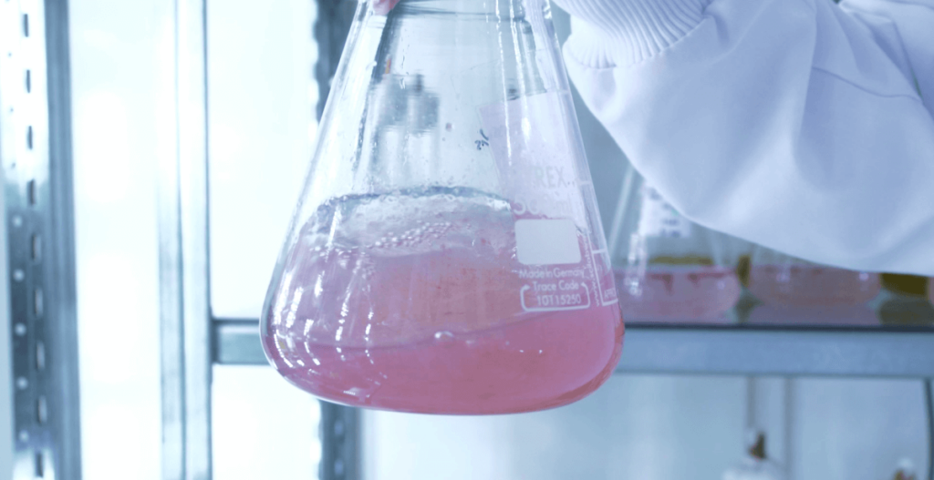 Mediterranean Alga Extract