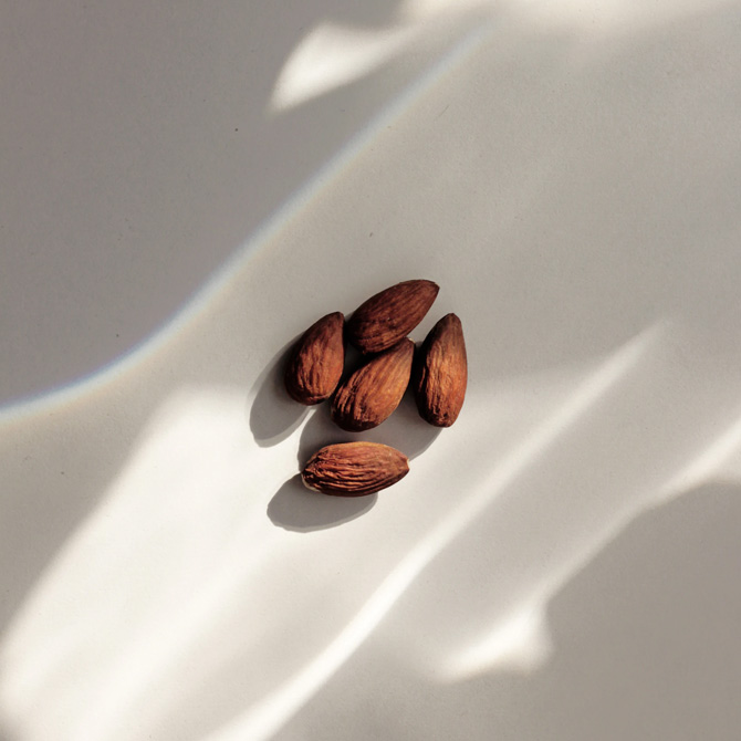 almonds are the most nutrient dense food on the planet