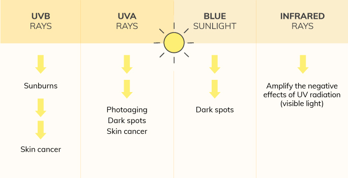 uv rays and uv damage to the skin infographic | ISDIN blog