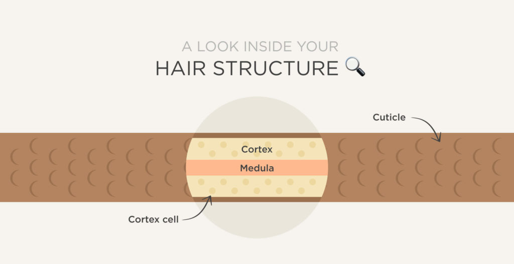 Hair structure ISDIN
