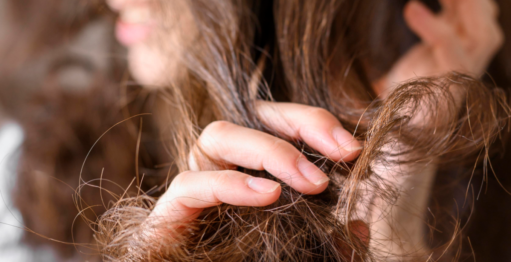 Puntas abiertas y resecas en cabello largo, efecto común del frío que requiere cuidado del cabello en invierno.