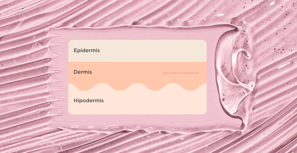 gráfico con diferente capas de la piel epidermis, dermis donde actúan los ultralicanos e hipodermis