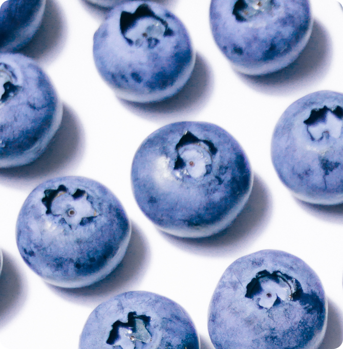 Arándanos frescos ricos en antioxidantes, asociados al cuidado de la piel dentro de una rutina skincare por estaciones