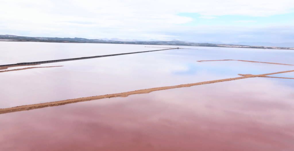 salinas de santa pola en Valencia mar rosa