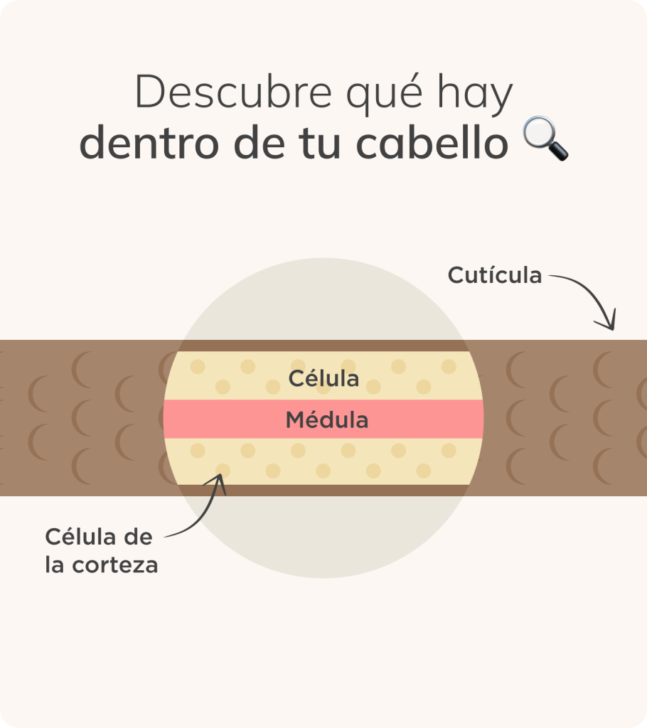 dentro de tu cabello