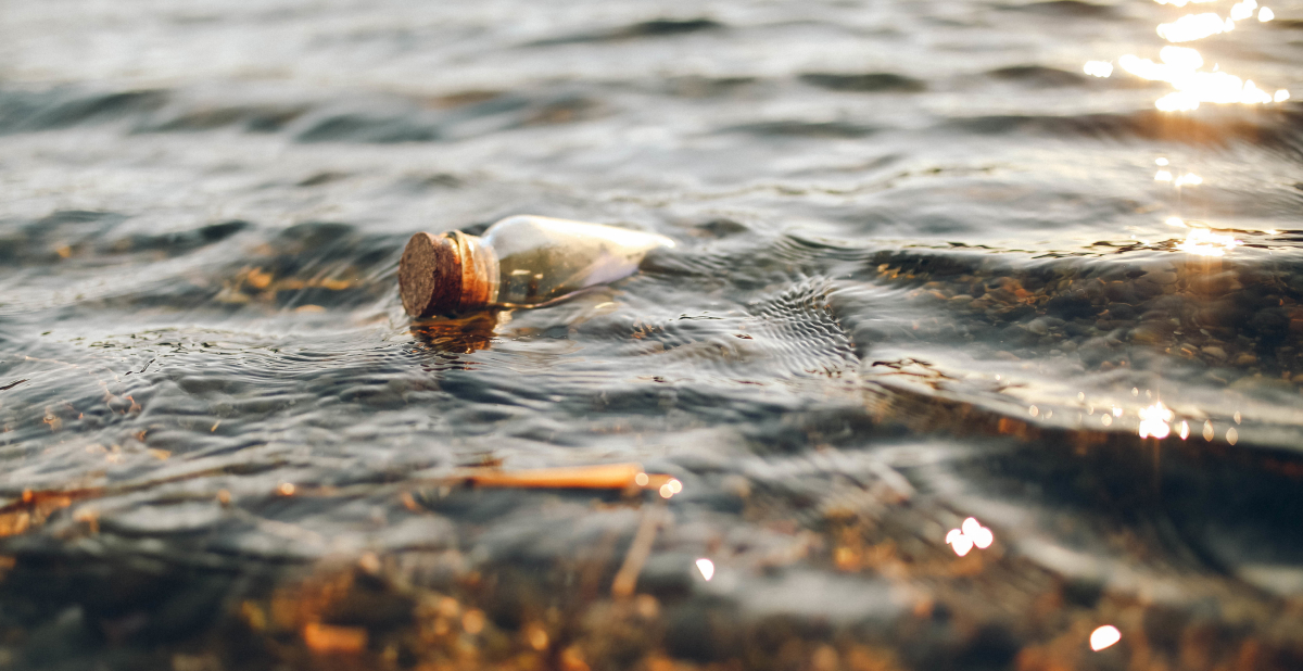 Botella flotando cerca de la costa entre el agua y restos naturales marinos