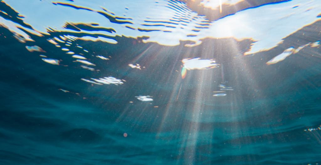 mar mediterráneo salvar acción océanos