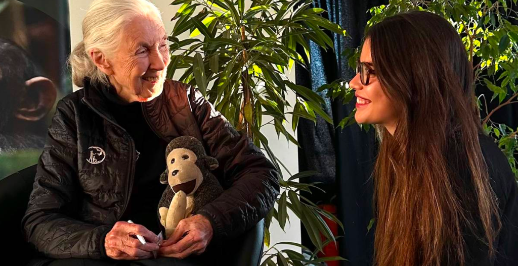 carlota bruna y jane goodall