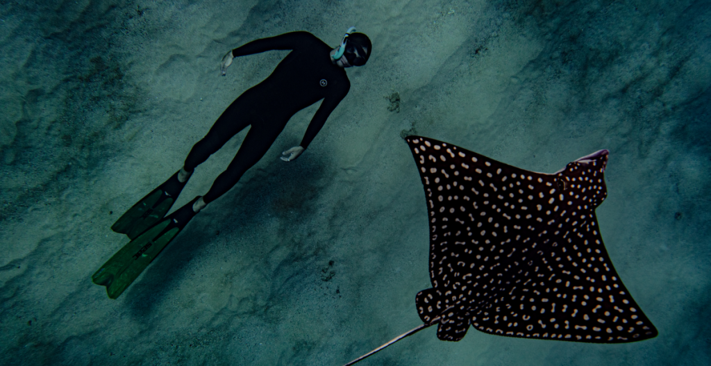 Alex Avello practicando apnea junto a una raya en aguas del Mediterráneo, divulgación marina y conservación oceánica
