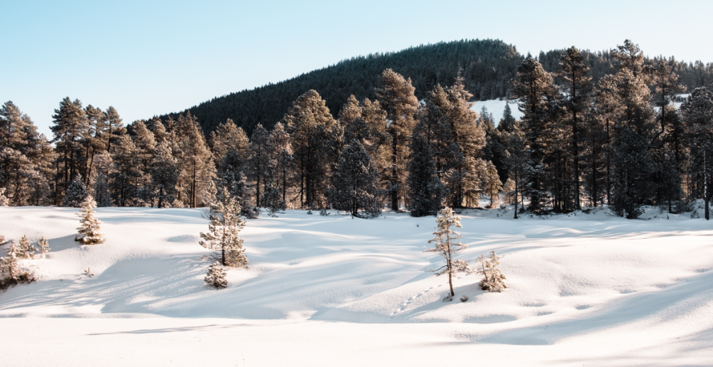 Imagen de encabezado con un paisaje de alta montaña cubierto de nieve blanca y brillante bajo un cielo despejado. El reflejo del sol sobre la nieve transmite sensación de frío intenso y alta luminosidad, recordando la importancia de la fotoprotección en entornos nevados