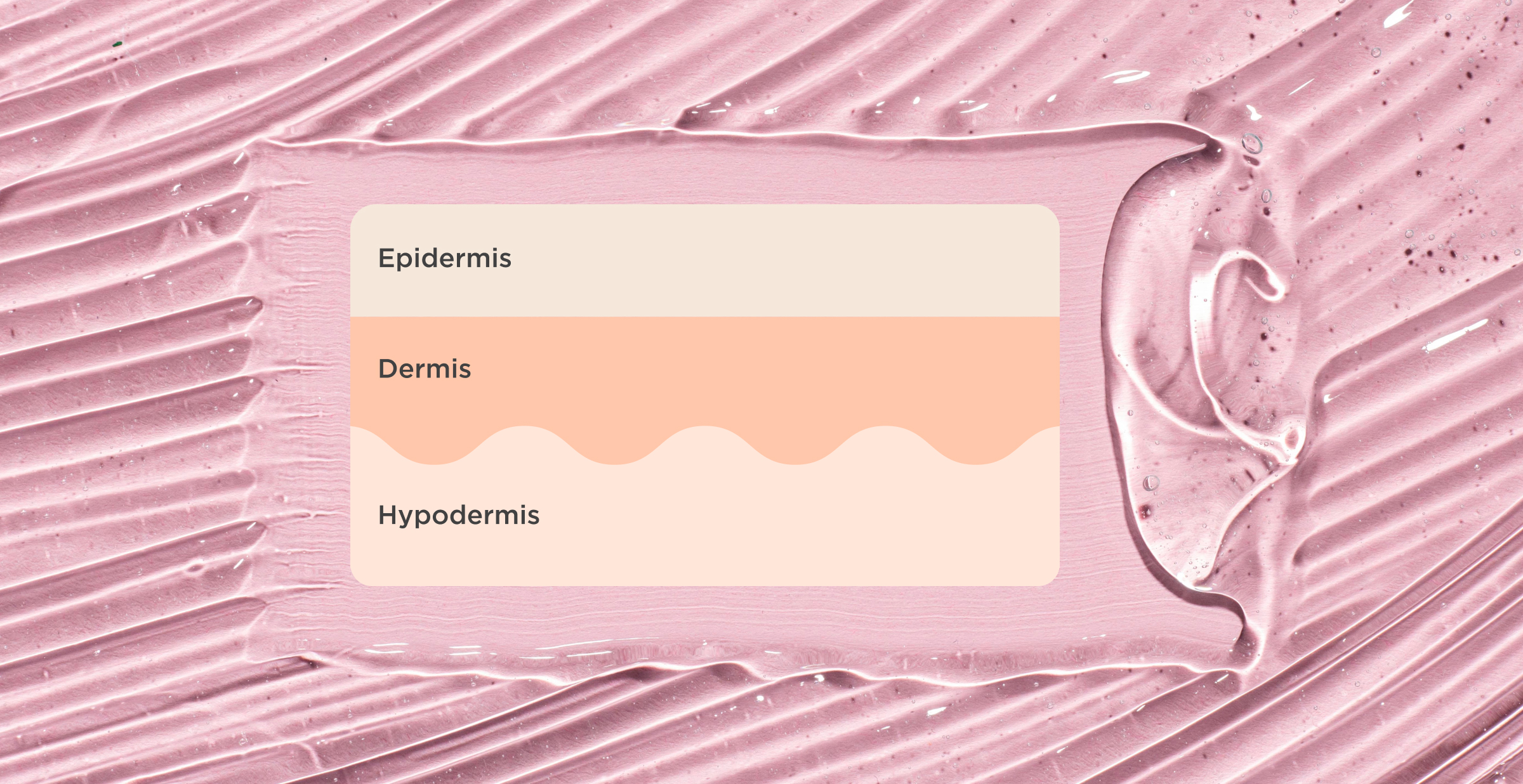 Proteoglycans in skin layers