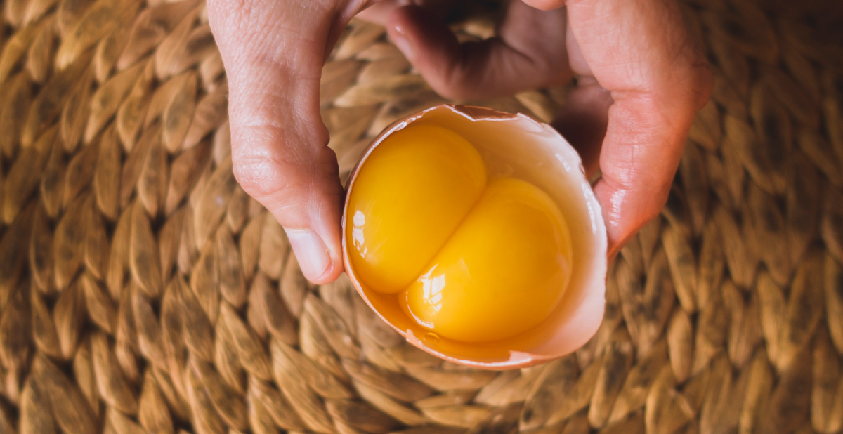 benefits of egg yolks